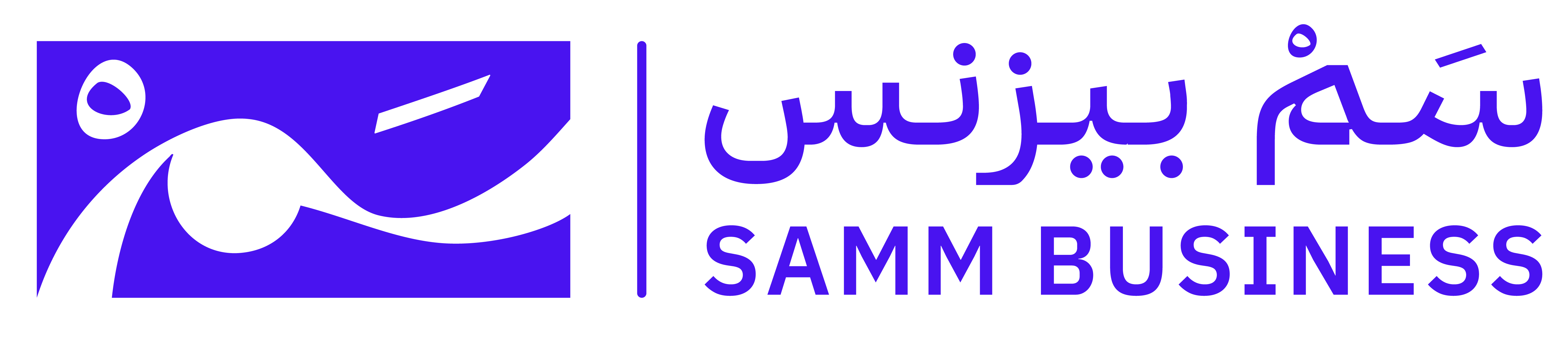SAMM Consulting